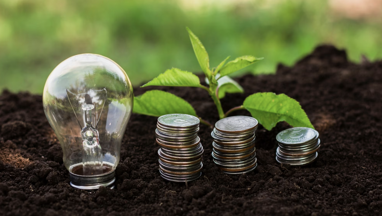 Indonesia's transition to green economy