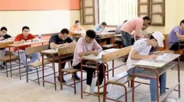 البكالوريا المصرية: نظام تعليمي مبتكر يعادل الثانوية العامة (معلومات تفصيلية)