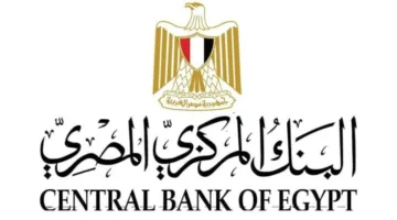 البنك المركزي: زيادة تحويلات المصريين في الخارج إلى 32.8 مليار دولار خلال 11 شهراً