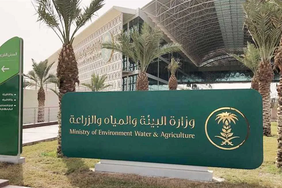 “البيئة” تقدم فرصة استثمارية لتربية وتسمين اللحوم الحمراء في المدينة المنورة “البيئة” تقدم فرصة استثمارية لتربية وتسمين اللحوم الحمراء في المدينة المنورة
