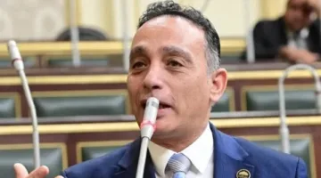 البياضي: نؤيد عدد مقاعد «المصري الديمقراطي» ضمن القائمة الوطنية ونطالب بتعديل نظام الانتخابات