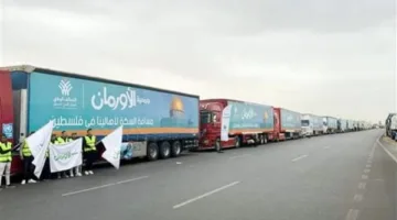 التحالف الوطني يعلن استعداده لاستئناف إرسال قوافل الإغاثة إلى قطاع غزة