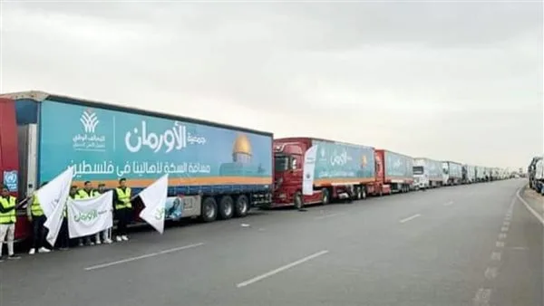 التحالف الوطني يعلن استعداده لاستئناف إرسال قوافل الإغاثة إلى قطاع غزة التحالف الوطني يعلن استعداده لاستئناف إرسال قوافل الإغاثة إلى قطاع غزة