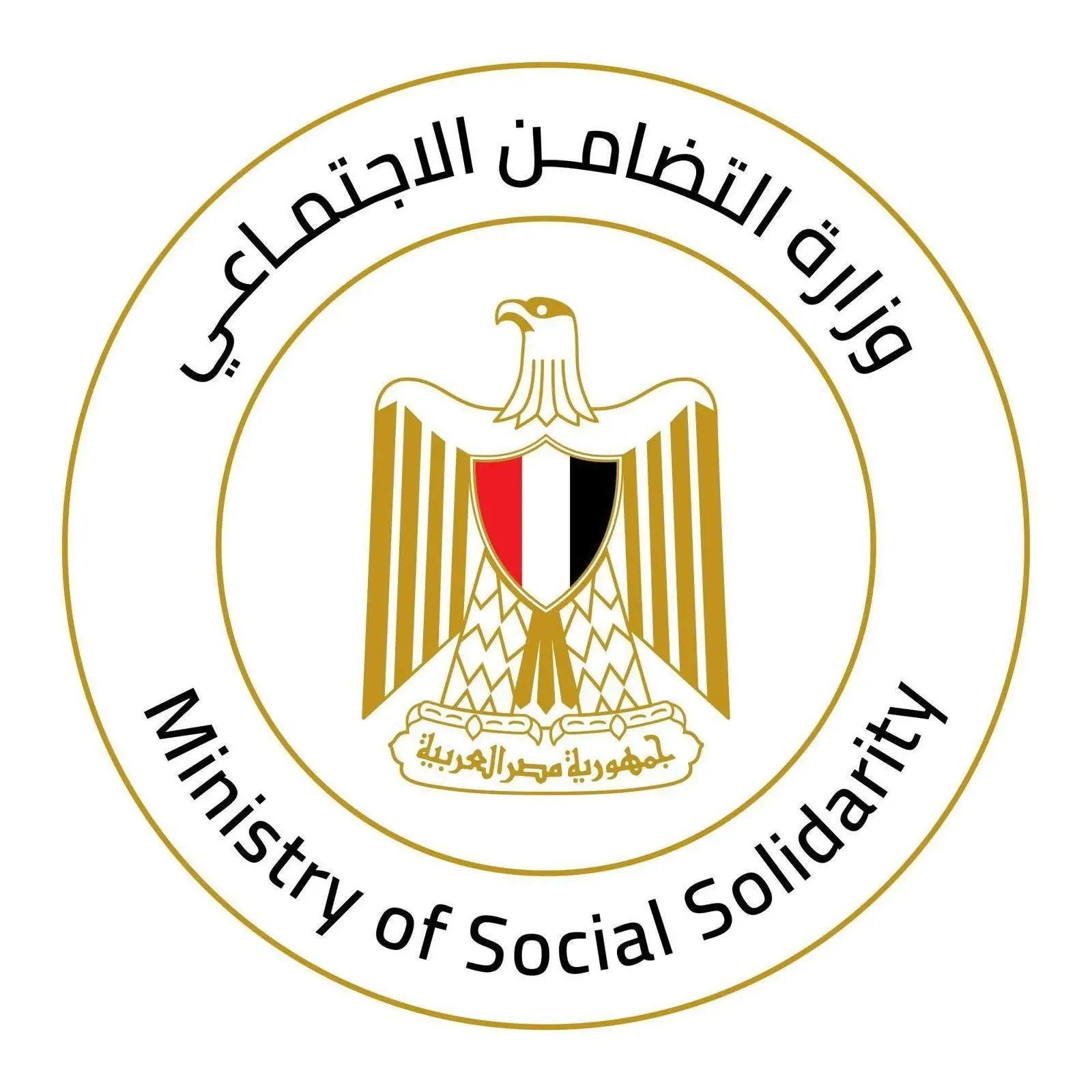 “التضامن”: توفير مساعدات عاجلة وتعويضات لأسر ضحايا الحادث على الطريق الإقليمي الجديد