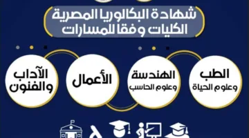 “التعليم” تعلن عن مسارات البكالوريا والتخصصات الجديدة وربطها بالجامعات
