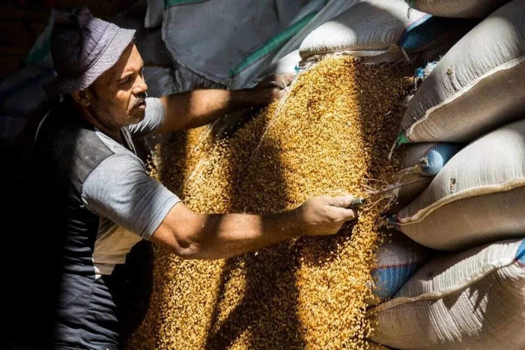التموين تُغلق 80% من مراكز تجميع القمح المحلي للموسم الحالي التموين تُغلق 80% من مراكز تجميع القمح المحلي للموسم الحالي