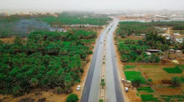 التنوع الزراعي المستدام