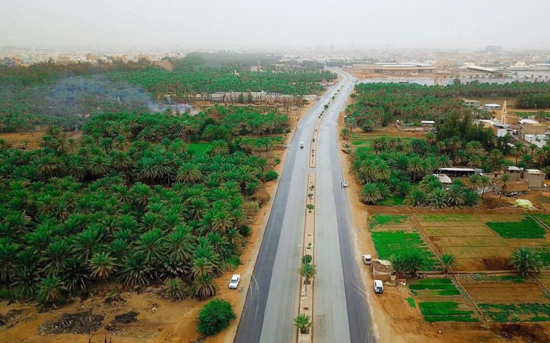 التنوع الزراعي المستدام