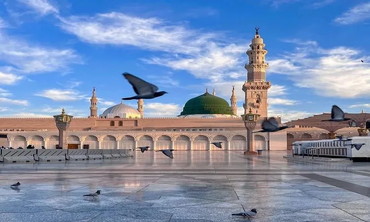 الجنة .. منزل السعادة الدائمة الجنة .. منزل السعادة الدائمة