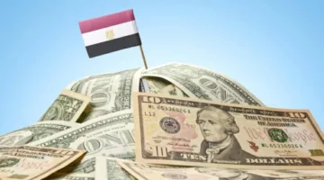 الجنيه المصري يُحفز النشاط التجاري للاستفادة من فروق أسعار الفائدة مقابل الدولار