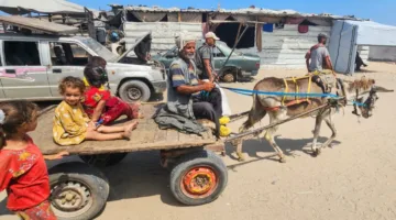 الجوع يودي بحياة 18 شخصاً في غزة خلال يوم… إسرائيل تبحث تنفيذ عملية جوية للمساعدات بالتعاون مع دول مجاورة