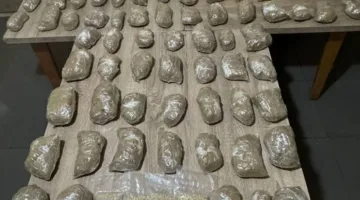 الجيش اللبناني يحبط تهريب كمية ضخمة من حشيشة الكيف إلى سوريا