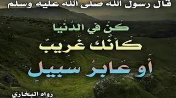 الحياة الدنيا: مجرد طريق وليس مكان إقامة دائم