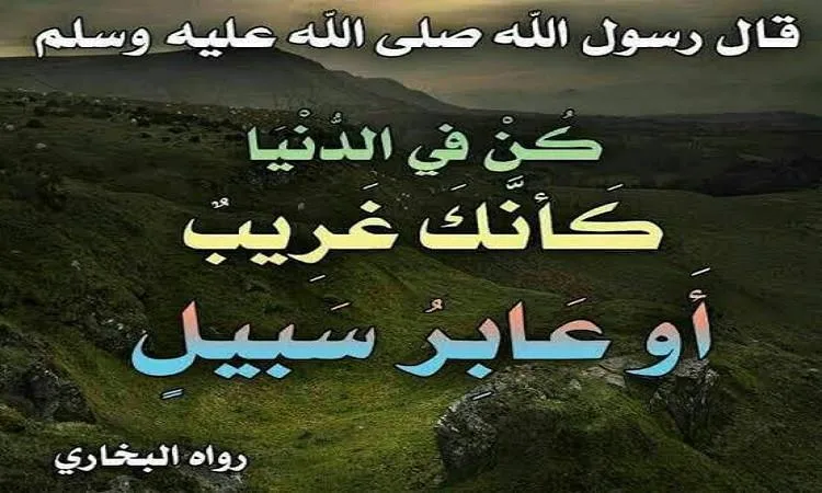 الحياة الدنيا: مرحلة عابرة وليست مقرًا دائمًا الحياة الدنيا: مرحلة عابرة وليست مقرًا دائمًا