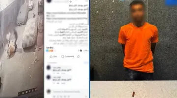 الداخلية: توضيح تفاصيل فيديو يظهر مشاجرة بين فردين ووفاة أحدهما