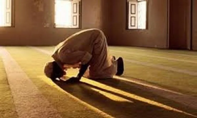 الدكتور مجدي عاشور: سجود السهو سنة ولا إثم على من لا يؤديه الدكتور مجدي عاشور: سجود السهو سنة ولا إثم على من لا يؤديه