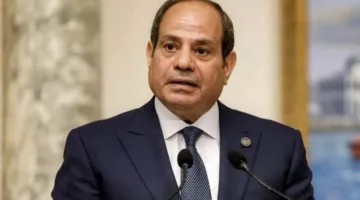 الرئيس السيسي يؤكد على أهمية تعزيز الإنتاج المحلي وتوطين التكنولوجيا وتقليل الاعتماد على الواردات في القطاعات الأساسية.