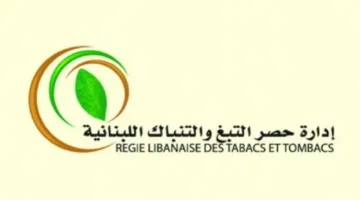 الريجي: واجهنا إطلاق نار أثناء عملية مداهمة في مخيم البصّ… واعتقال 3 مهربين