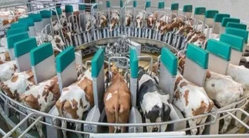 الزراعة: إصدار أكثر من 6000 ترخيص في مجال تربية المواشي خلال سنة واحدة.