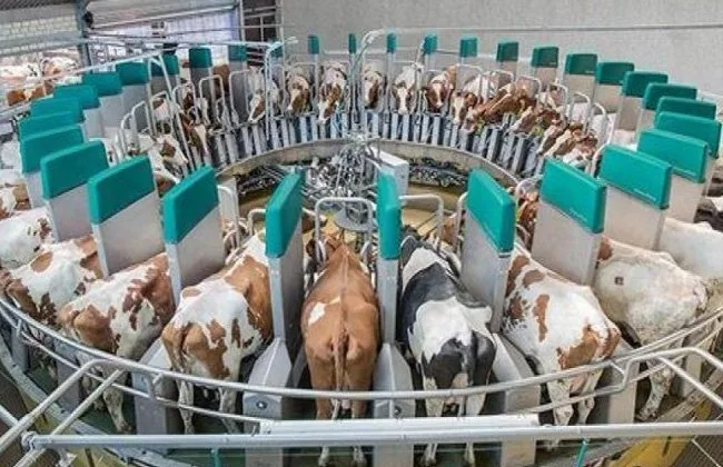 الزراعة: إصدار أكثر من 6000 ترخيص في مجال تربية المواشي خلال سنة واحدة. الزراعة: إصدار أكثر من 6000 ترخيص في مجال تربية المواشي خلال سنة واحدة.