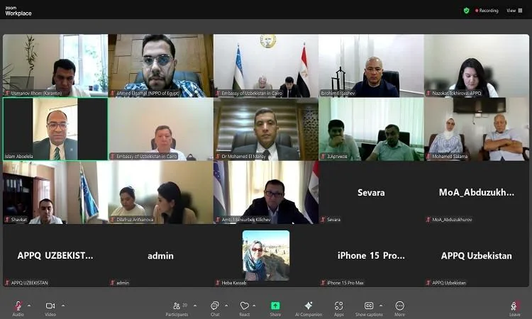 “الزراعة الحجرية” تُعلن عن بداية أول شحنة من بذور البطاطس الصغيرة إلى أوزبكستان “الزراعة الحجرية” تُعلن عن بداية أول شحنة من بذور البطاطس الصغيرة إلى أوزبكستان