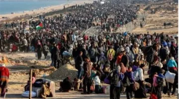 السفير ماجد عبدالفتاح: نرفض جميع محاولات تهجير الفلسطينيين