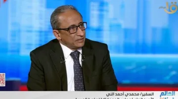 السفير محمدي الني: آفاق مشجعة للتعاون الاقتصادي العربي ومصر تتصدر المبادرات التنموية