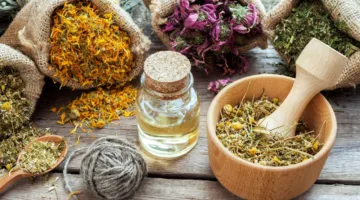 السوق الصينية تثير اهتمام النباتات الطبية والعطرية