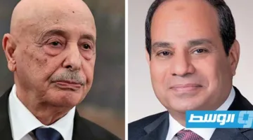 السيسي يلتقي عقيلة ويشدد على أهمية تنسيق الجهود لتحقيق تسوية كاملة في ليبيا