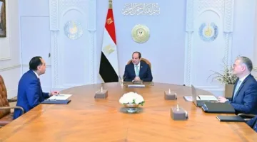 السيسي يلتقي وزير البترول لمناقشة ضمان توافر إمدادات الكهرباء خلال فصل الصيف