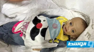 الصليب الأحمر يطلب استجابة دولية فورية لإنهاء “المعاناة المتزايدة” في غزة