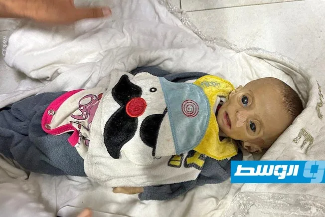 الصليب الأحمر يطلب استجابة دولية فورية لإنهاء “المعاناة المتزايدة” في غزة الصليب الأحمر يطلب استجابة دولية فورية لإنهاء “المعاناة المتزايدة” في غزة
