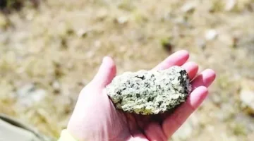 الصين تزيد صادرات المغناطيسات النادرة إلى الولايات المتحدة