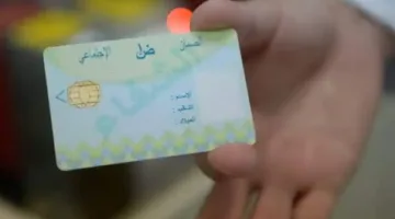 الضمان الاجتماعي: صندوق التأمينات الجزائري يستثمر 630 مليار دينار لمواجهة المخاطر