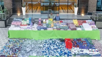 القبض على شخصين مطلوبين بحوزتهما مخدرات تقدر قيمتها بـ51 مليون جنيه