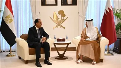 القضية الفلسطينية تتصدر محادثات بين مصر وقطر في الدوحة.. واستثمارات مشتركة في الأفق القضية الفلسطينية تتصدر محادثات بين مصر وقطر في الدوحة.. واستثمارات مشتركة في الأفق
