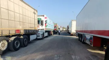 القضية الفلسطينية في مصر: كيف استجابت الأحزاب للادعاءات؟