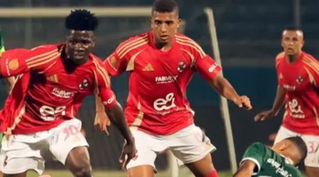 “القطاع تمسك به”.. يلا كورة يكشف عن مزايا وجه الأهلي الأفريقي الجديد (صور)