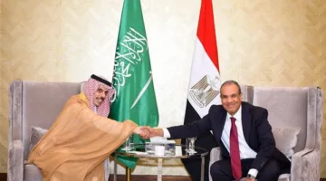 الكشكي: مصر والسعودية تتوافقان على أن القضية الفلسطينية هي محور الأهمية في المنطقة
