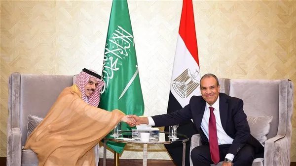 الكشكي: مصر والسعودية تتوافقان على أن القضية الفلسطينية هي محور الأهمية في المنطقة