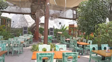 «الكوكب الأخضر».. مشروع يمثل الغابات الاستوائية