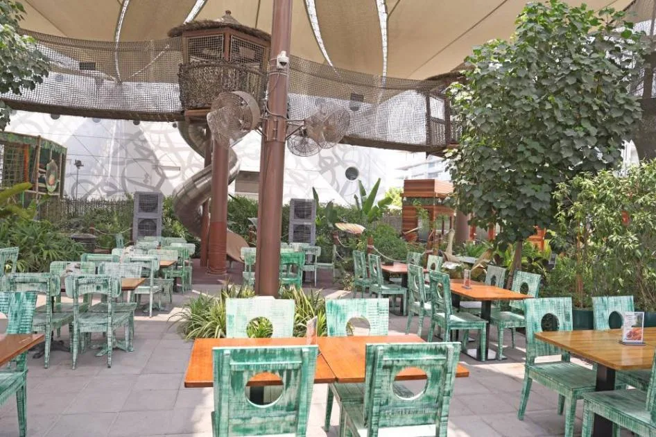 «الكوكب الأخضر».. مشروع يمثل الغابات الاستوائية «الكوكب الأخضر».. مشروع يمثل الغابات الاستوائية