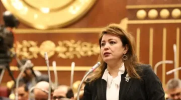 اللجنة الخارجية بمجلس الشيوخ: تحريف الدور المصري لتشتيت الانتباه عن الدمار في غزة وتحفيز هجرة الفلسطينيين