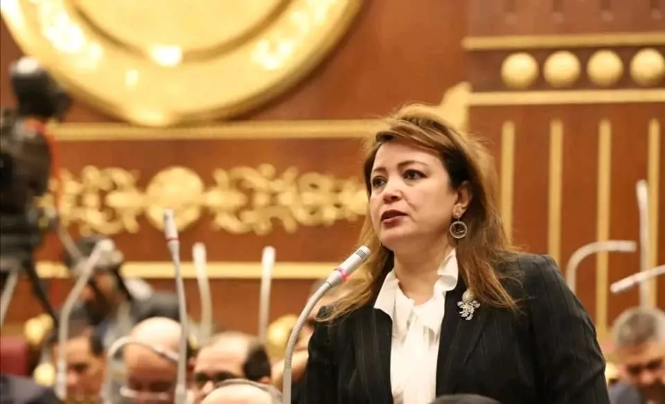 اللجنة الخارجية بمجلس الشيوخ: تحريف الدور المصري لتشتيت الانتباه عن الدمار في غزة وتحفيز هجرة الفلسطينيين اللجنة الخارجية بمجلس الشيوخ: تحريف الدور المصري لتشتيت الانتباه عن الدمار في غزة وتحفيز هجرة الفلسطينيين