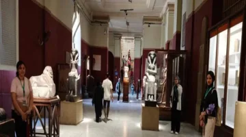 المتحف المصري يبدأ برنامج تدريب للطلاب ويستمر في تقديم خدماته الإرشادية المجانية
