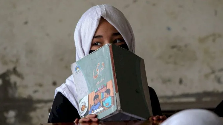 المحكمة الجنائية الدولية تطارد قادة طالبان بتهم انتهاك حقوق النساء والفتيات المحكمة الجنائية الدولية تطارد قادة طالبان بتهم انتهاك حقوق النساء والفتيات