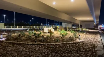 المدينة المنورة تتزين باللون الأبيض.. تنسيق عمراني يعزز الجمال الحضاري