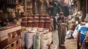المركزي المصري: انخفاض معدل التضخم الأساسي إلى 11.4% في يونيو 2025