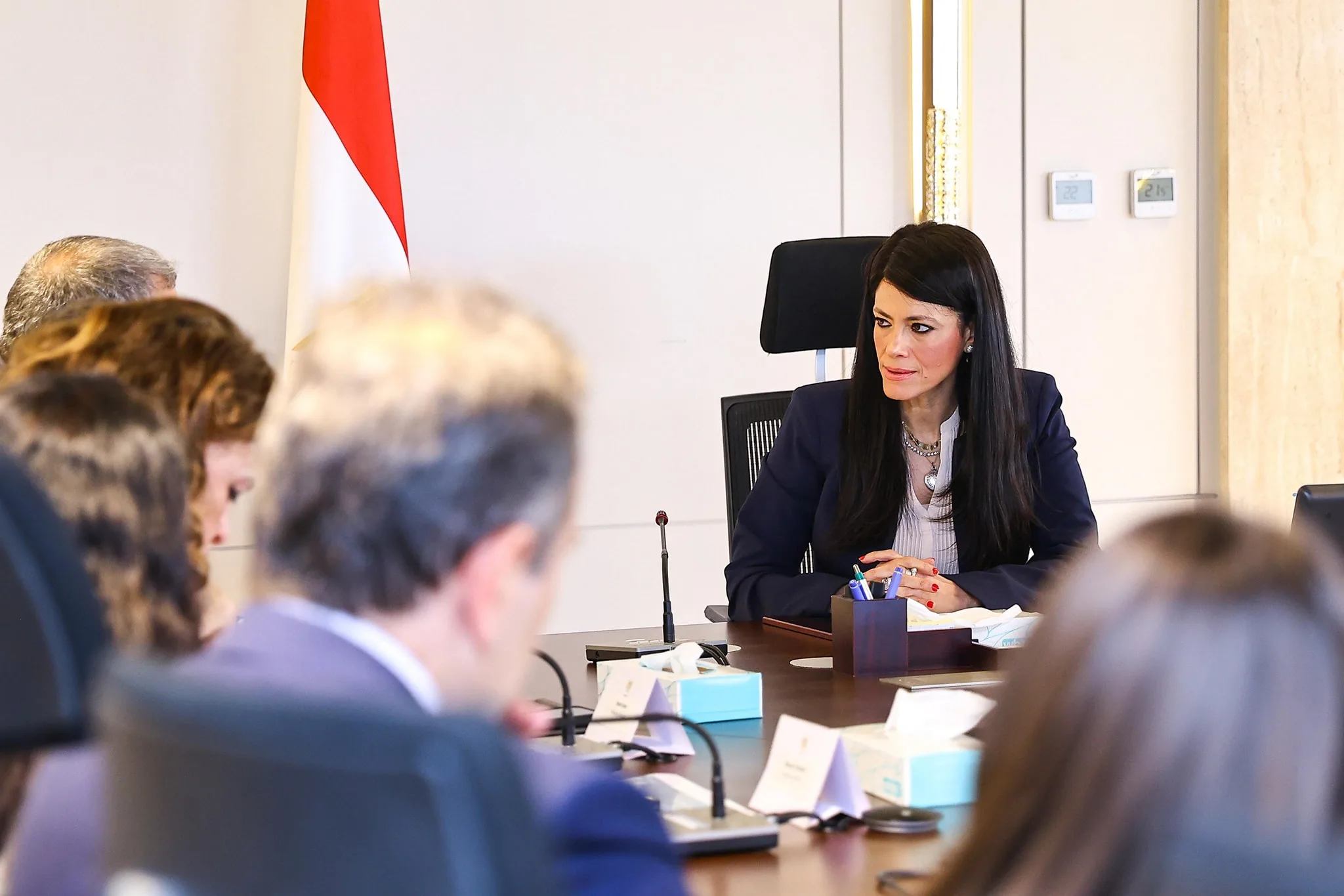 “المشاط”: “نوفي” يحصل على 3.9 مليار دولار لدعم مشروعات الطاقة المتجددة بتمويلات ميسّرة