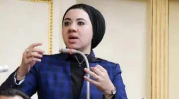 “المصري الديمقراطي” يُعلن عن الخطة الانتخابية لأميرة صابر للترشح لعضوية مجلس الشيوخ